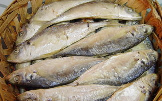 	如何分辨哪些魚受過污染？