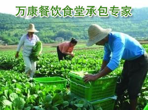 萬康餐飲完善原材料配送鏈提倡有機(jī)蔬菜